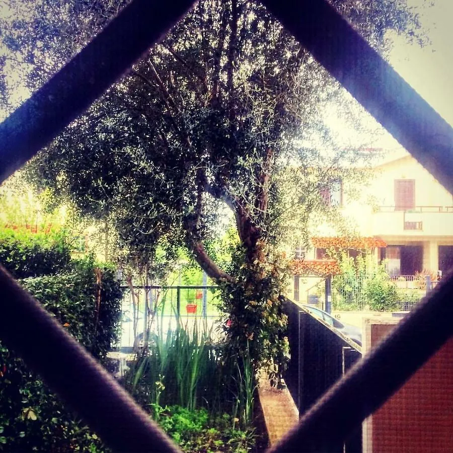 Spazio E Tranquillita A Roma Ρώμη